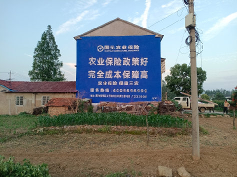 新蔡墙体广告为何受追捧？